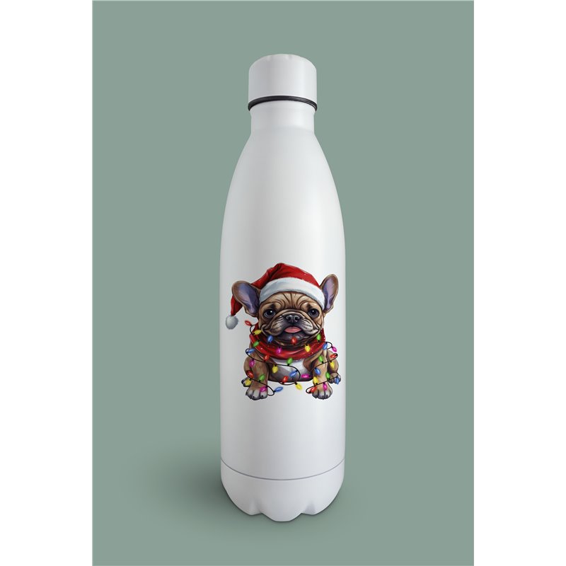 Insulated Bottle  - BD55