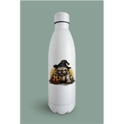 Insulated Bottle  - BD57