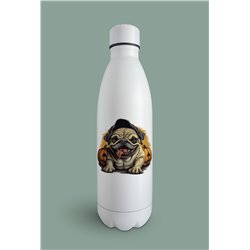 Insulated Bottle  - BD58