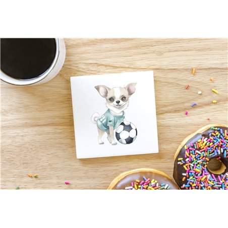 Ceramic Tile Coaster/ Trivet - Ch3