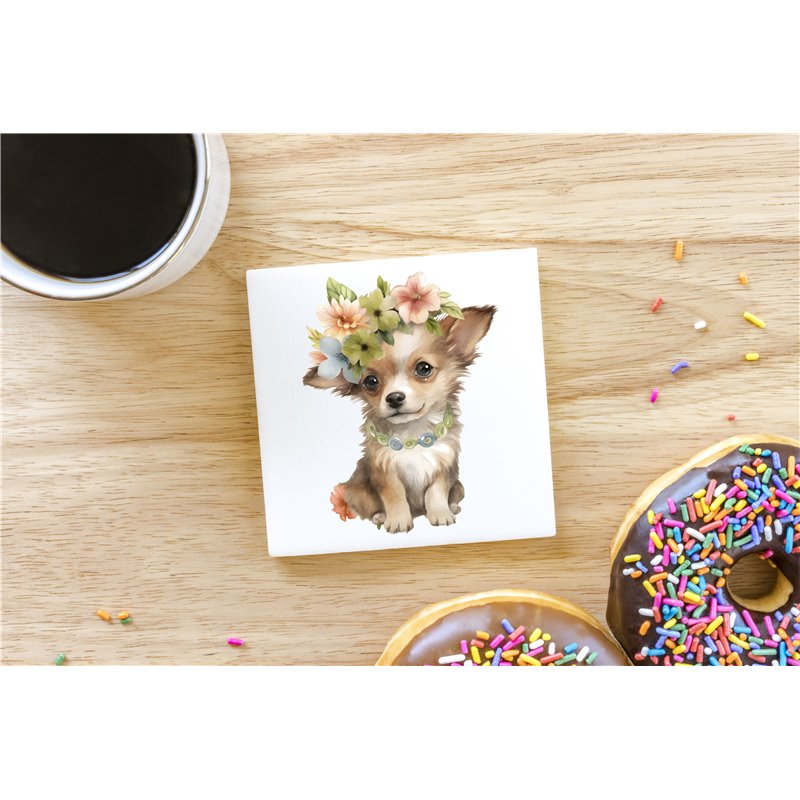 Ceramic Tile Coaster/ Trivet - Ch4