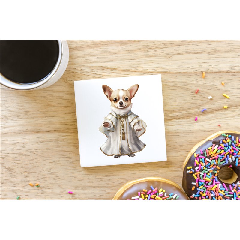 Ceramic Tile Coaster/ Trivet - Ch6