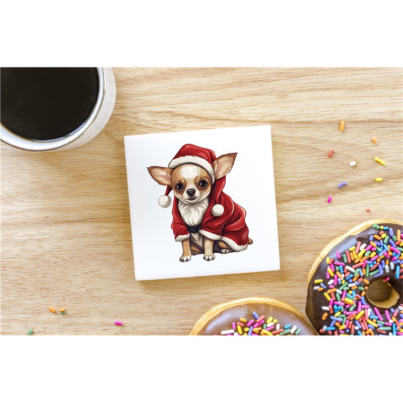 Ceramic Tile Coaster/ Trivet - Ch26