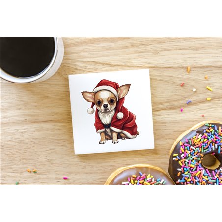 Ceramic Tile Coaster/ Trivet - Ch26