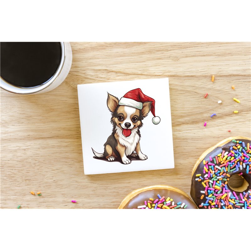 Ceramic Tile Coaster/ Trivet - Ch27