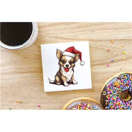 Ceramic Tile Coaster/ Trivet - Ch27