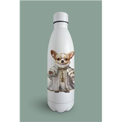 Insulated Bottle  - Ch1
