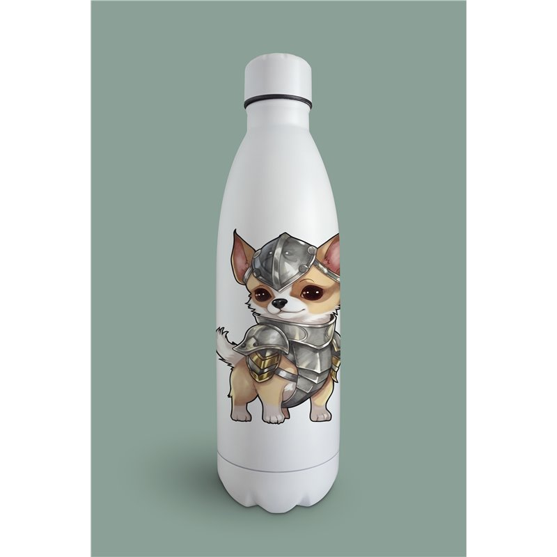 Insulated Bottle  - Ch2