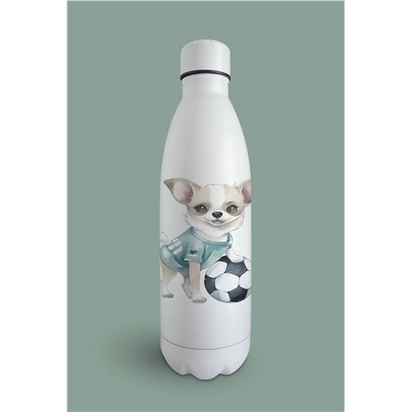 Insulated Bottle  - Ch3