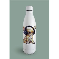 Insulated Bottle  - Ch4