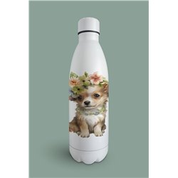 Insulated Bottle  - Ch5
