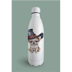 Insulated Bottle  - Ch6