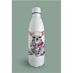 Insulated Bottle  - Ch7
