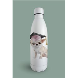 Insulated Bottle  - Ch8