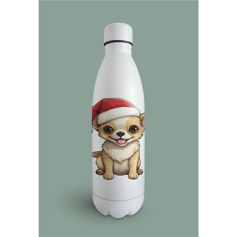 Insulated Bottle  - Ch9