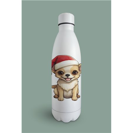 Insulated Bottle  - Ch9