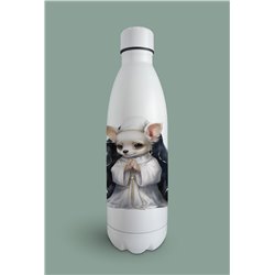 Insulated Bottle  - Ch11