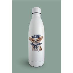 Insulated Bottle  - Ch12