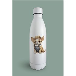 Insulated Bottle  - Ch13