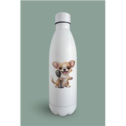 Insulated Bottle  - Ch14