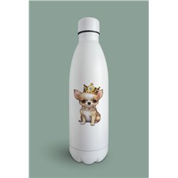 Insulated Bottle  - Ch15