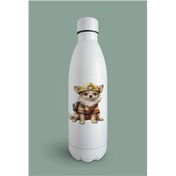 Insulated Bottle  - Ch16