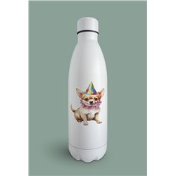 Insulated Bottle  - Ch17