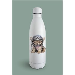 Insulated Bottle  - Ch18