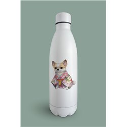 Insulated Bottle  - Ch19