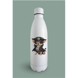 Insulated Bottle  - Ch20