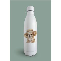 Insulated Bottle  - Ch21