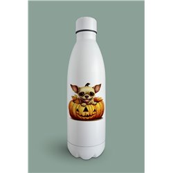 Insulated Bottle  - Ch22