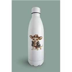 Insulated Bottle  - Ch24