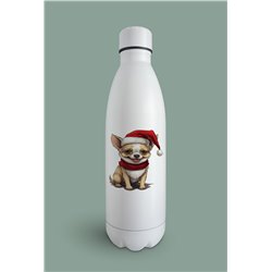 Insulated Bottle  - Ch25