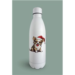 Insulated Bottle  - Ch27