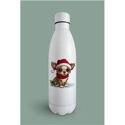 Insulated Bottle  - Ch28