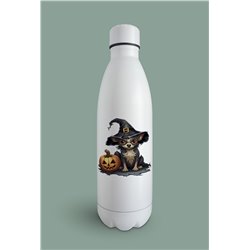 Insulated Bottle  - Ch30
