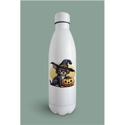 Insulated Bottle  - Ch31