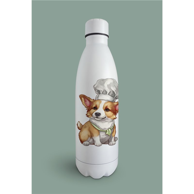 Insulated Bottle 
