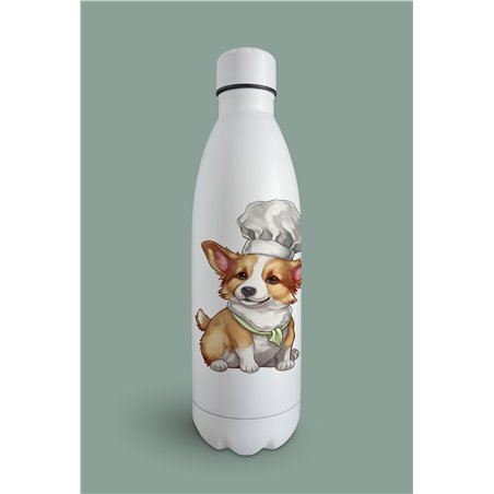 Insulated Bottle 