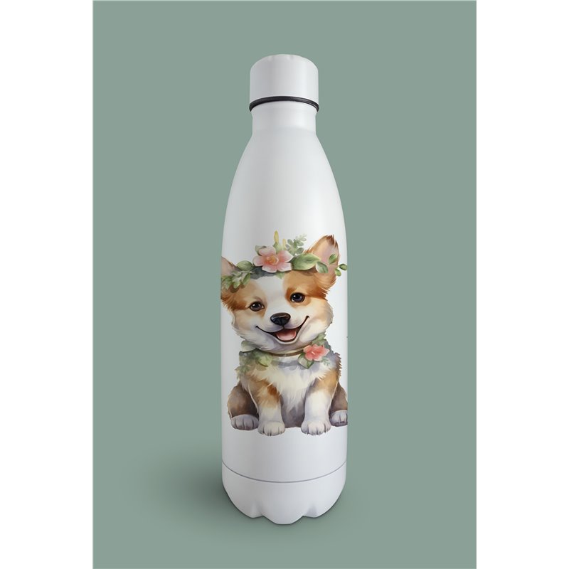 Insulated Bottle 