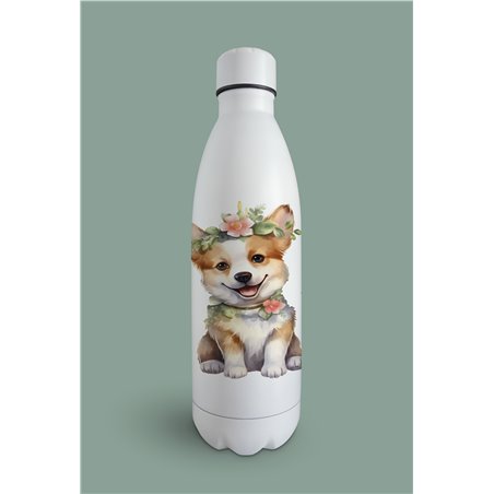Insulated Bottle 