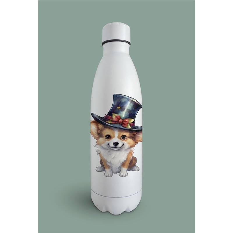 Insulated Bottle 