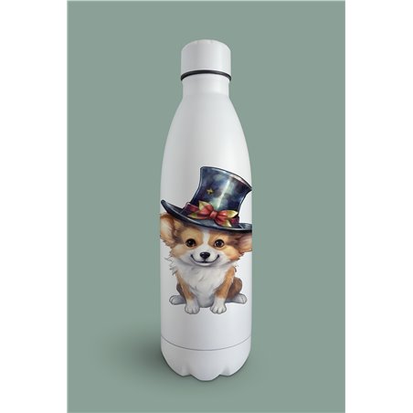 Insulated Bottle 