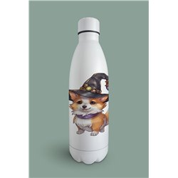 Insulated Bottle 