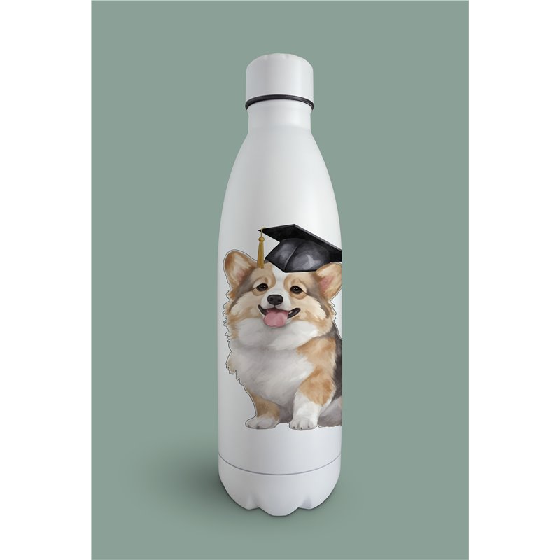 Insulated Bottle 