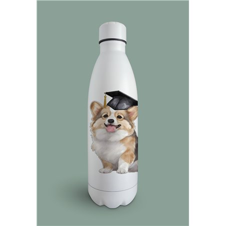 Insulated Bottle 