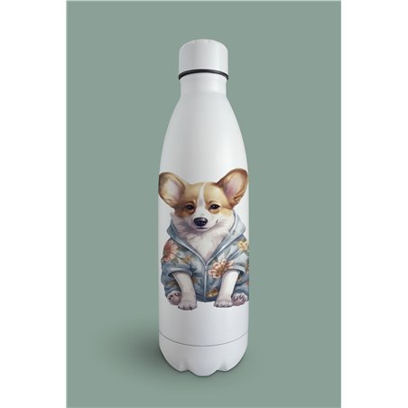 Insulated Bottle 