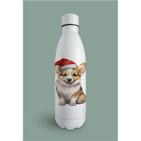 Insulated Bottle 