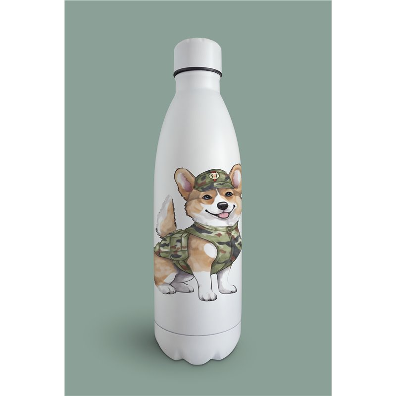 Insulated Bottle 